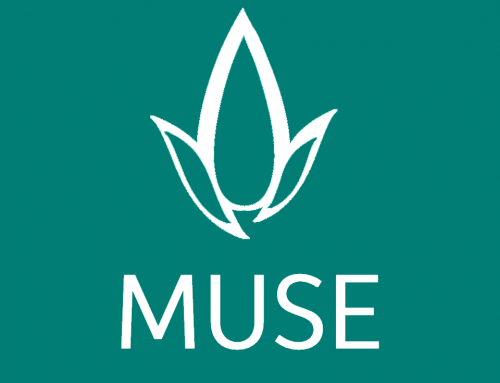 Neue Website für MUSE